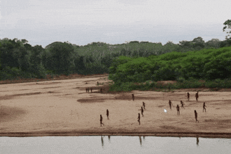 Into the Amazon: Journey of Survival