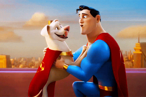 Super Pet Heroes