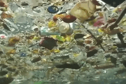 The Plastic Plague: Our Planet's Crisis